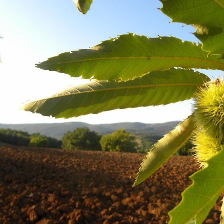 Agriristoro Podere S. Andrea ماسا ماريتيما المظهر الخارجي الصورة