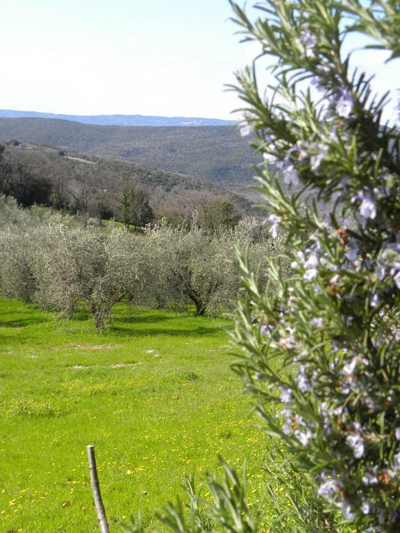 Agriristoro Podere S. Andrea ماسا ماريتيما المظهر الخارجي الصورة