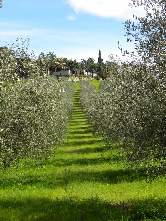 Agriristoro Podere S. Andrea ماسا ماريتيما المظهر الخارجي الصورة