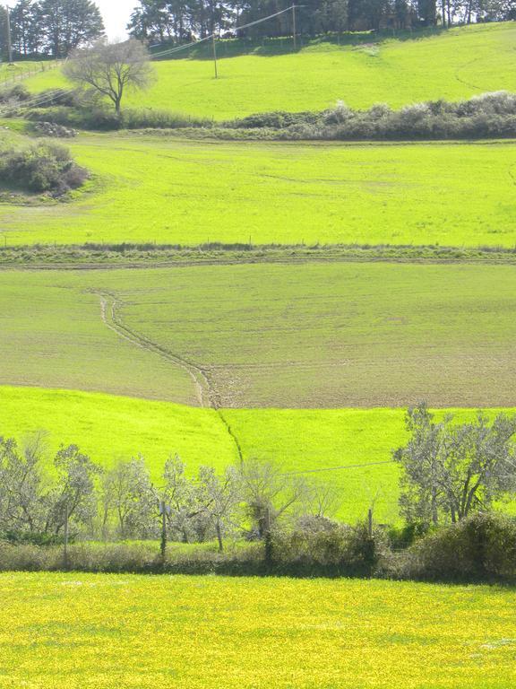 Agriristoro Podere S. Andrea ماسا ماريتيما المظهر الخارجي الصورة