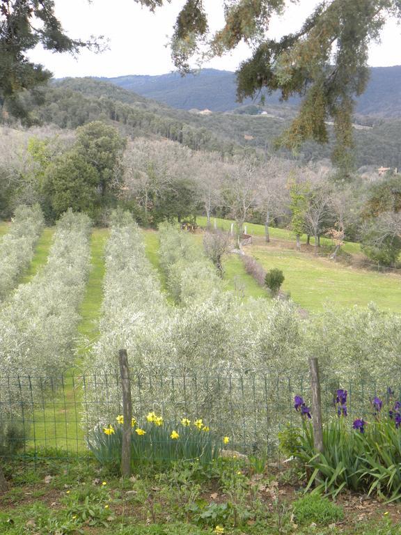 Agriristoro Podere S. Andrea ماسا ماريتيما المظهر الخارجي الصورة