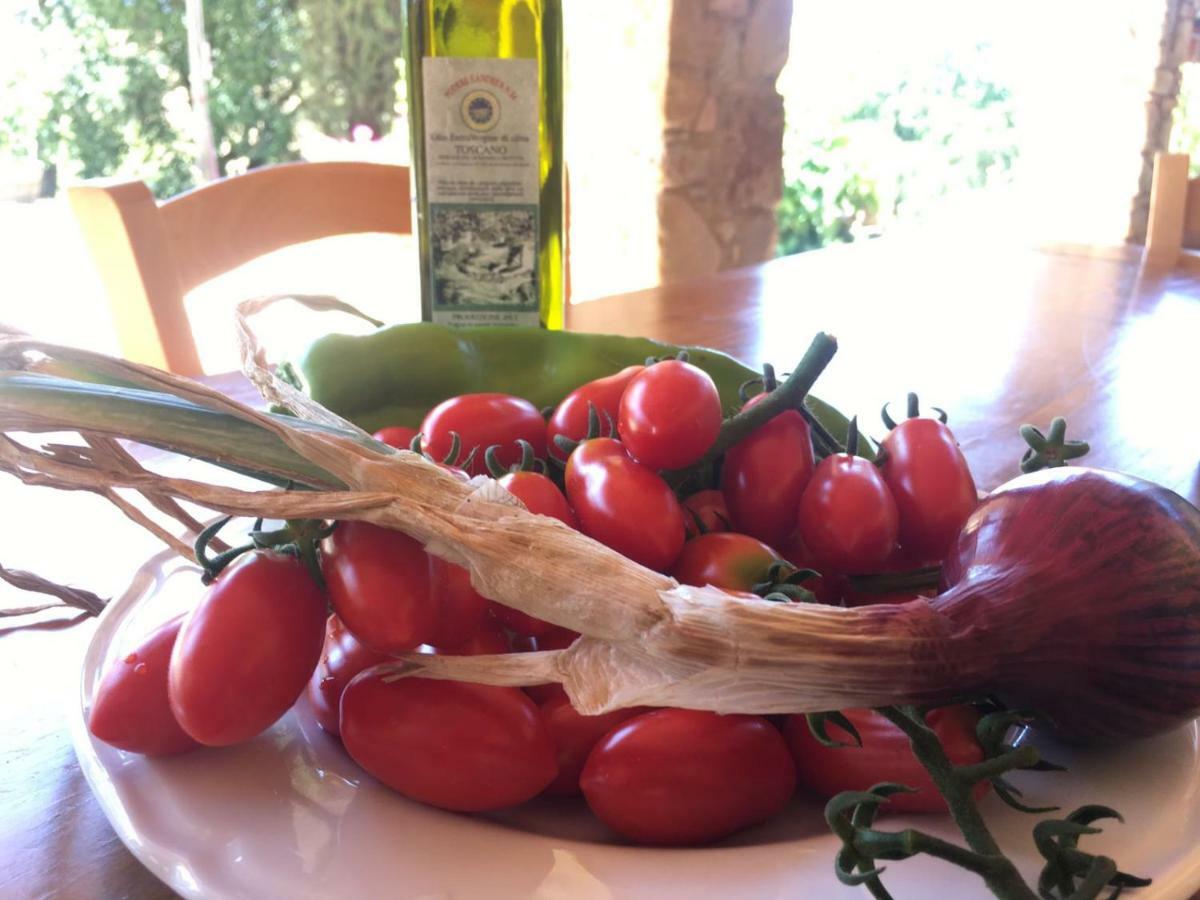 Agriristoro Podere S. Andrea ماسا ماريتيما المظهر الخارجي الصورة