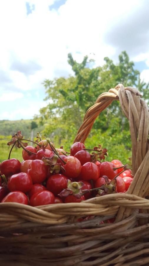 Agriristoro Podere S. Andrea ماسا ماريتيما المظهر الخارجي الصورة
